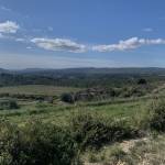 Bastien_83190 Profile Picture